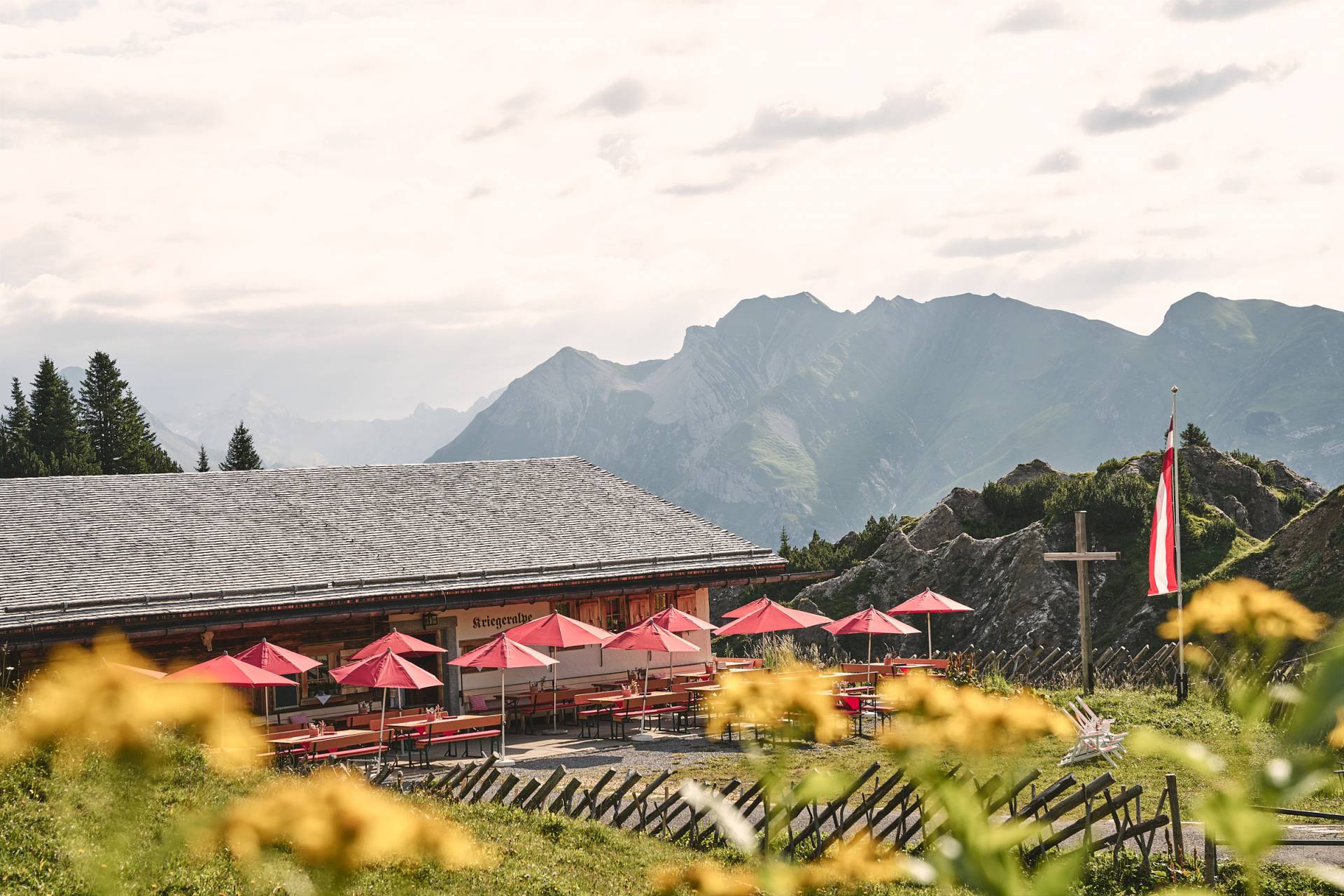 Kriegeralpe Sommer Bergpanorama