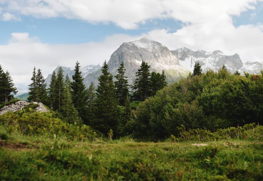 View of the Omeshorn mountain panorama in Lech