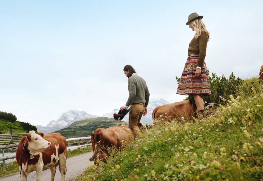 Hiking among cows in the Arlberg region