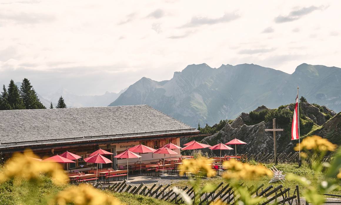 Kriegeralpe Sommer Bergpanorama