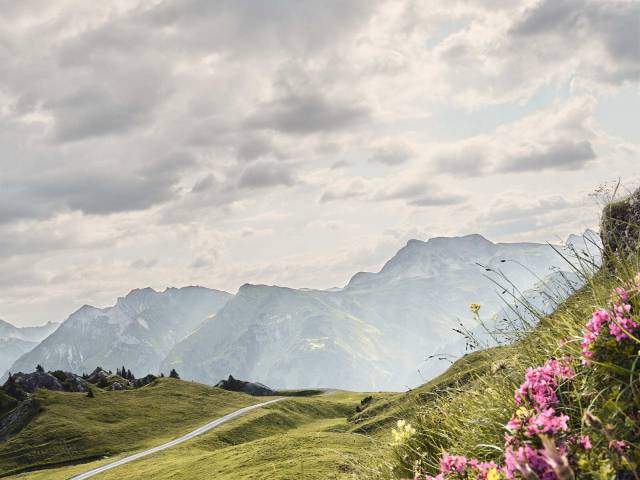 Berge Panorama Arlberg