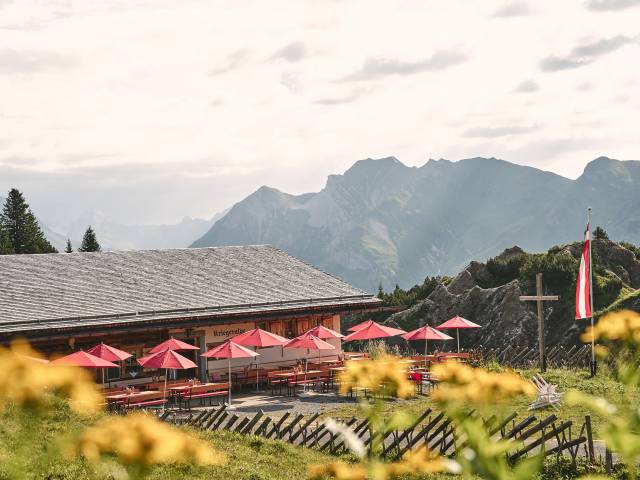 Kriegeralpe Sommer Bergpanorama