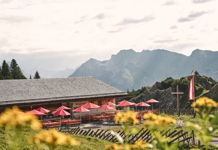 Kriegeralpe Sommer Bergpanorama