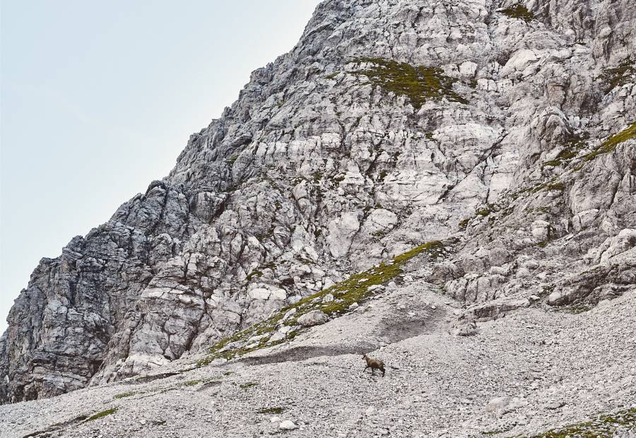 Summiteer? - Burghotel Oberlech